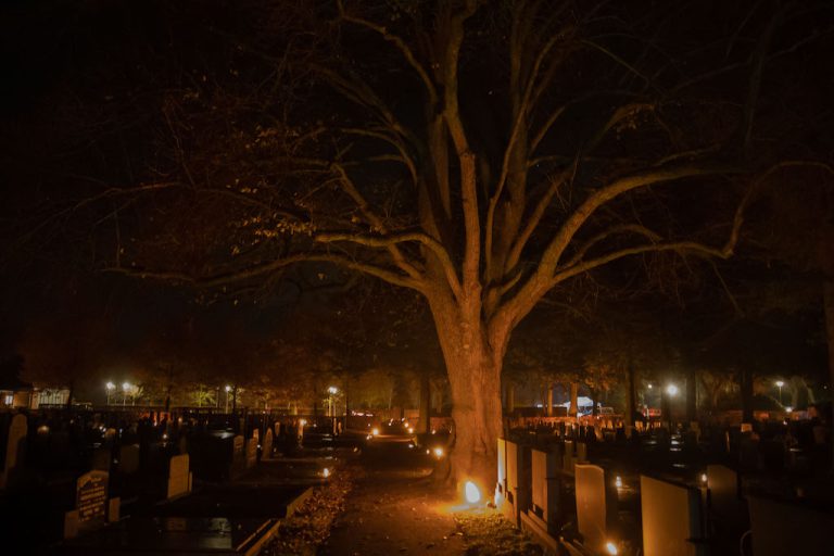 Lichtjes avond De Eswal