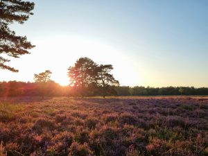 Nationaal Park Drentsche Aa