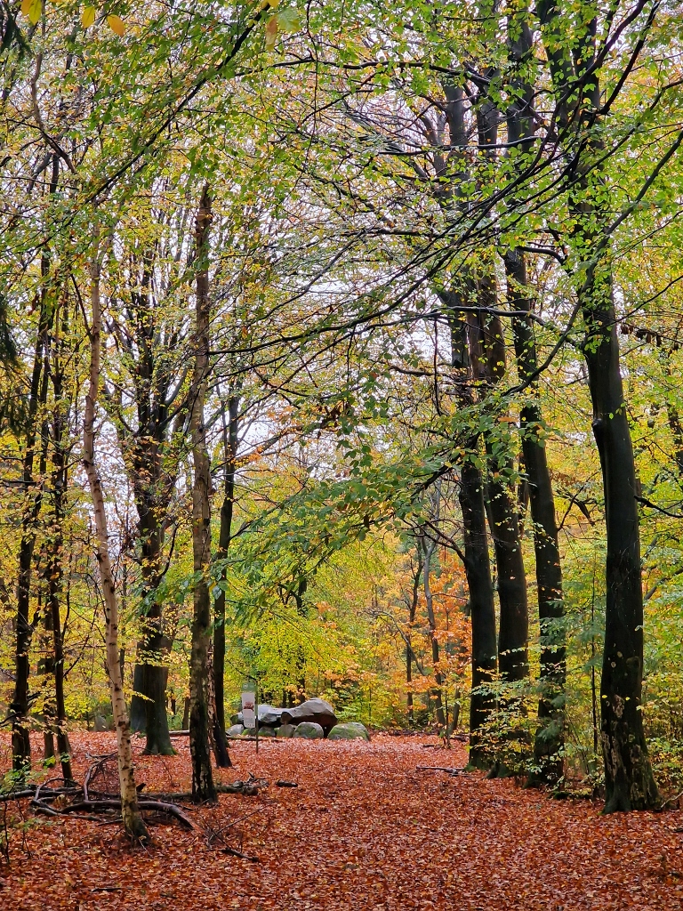 Nationaal Park Drenthe Aa