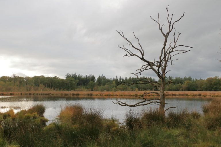 Nationaal Park Drentsche Aa