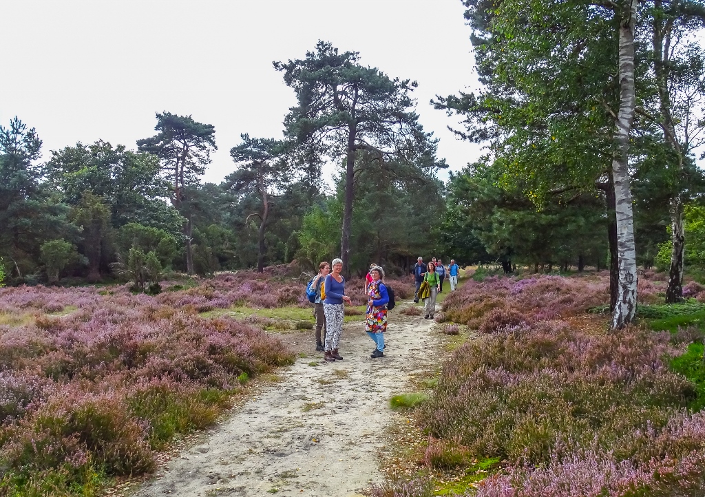 Nationaal Park Drenthe Aa