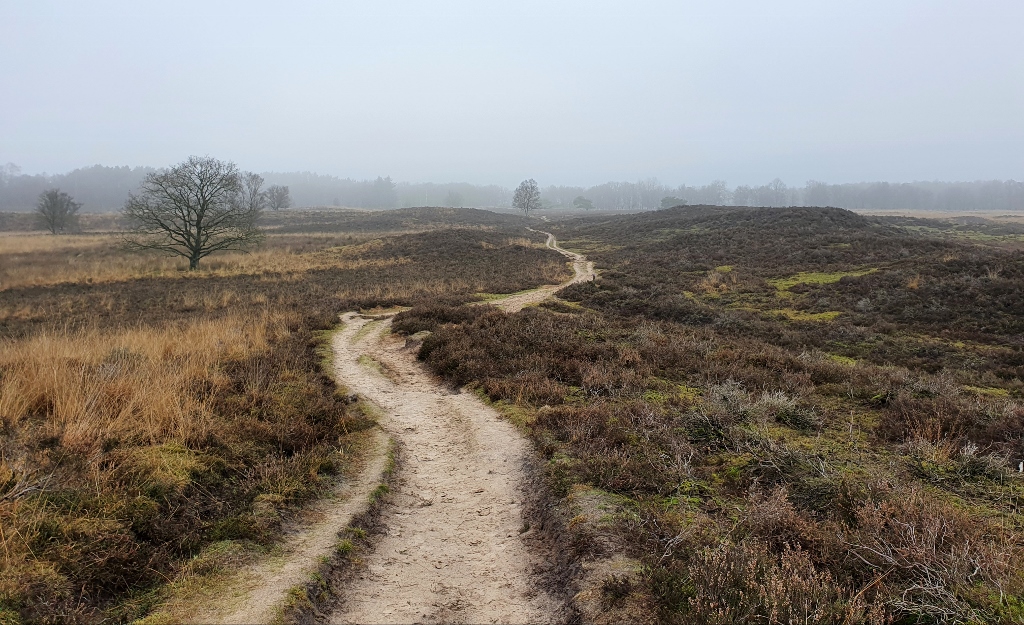 Wat is het Veurste veen, wat is het Aolstalbad?